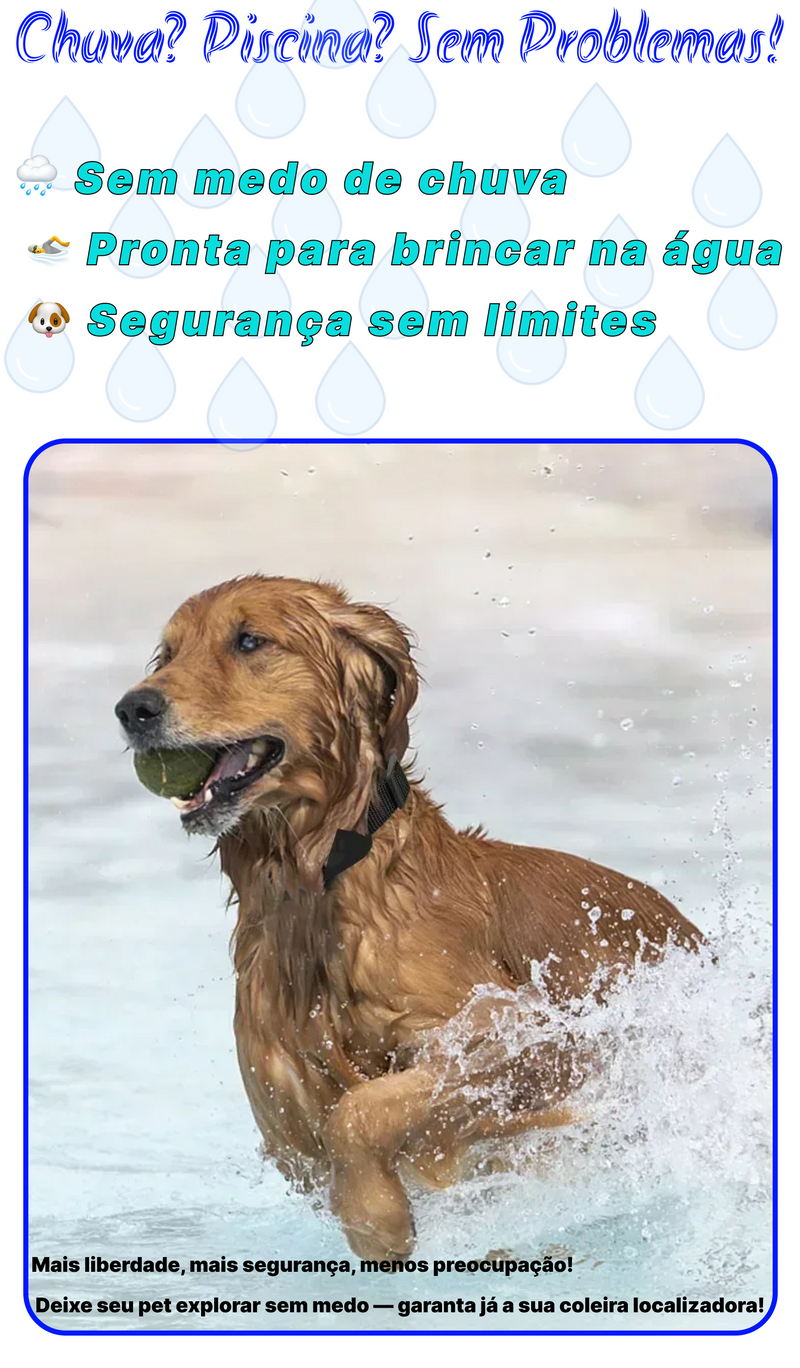 Rastreador GPS para Pets