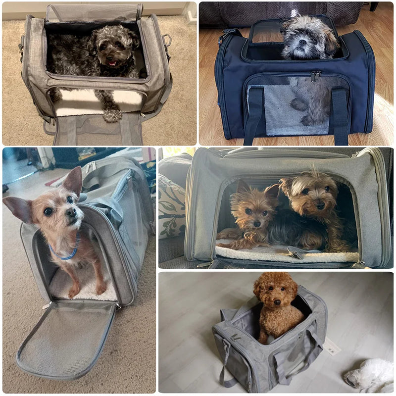 Mochila Pet Clássica com Tela Resistente